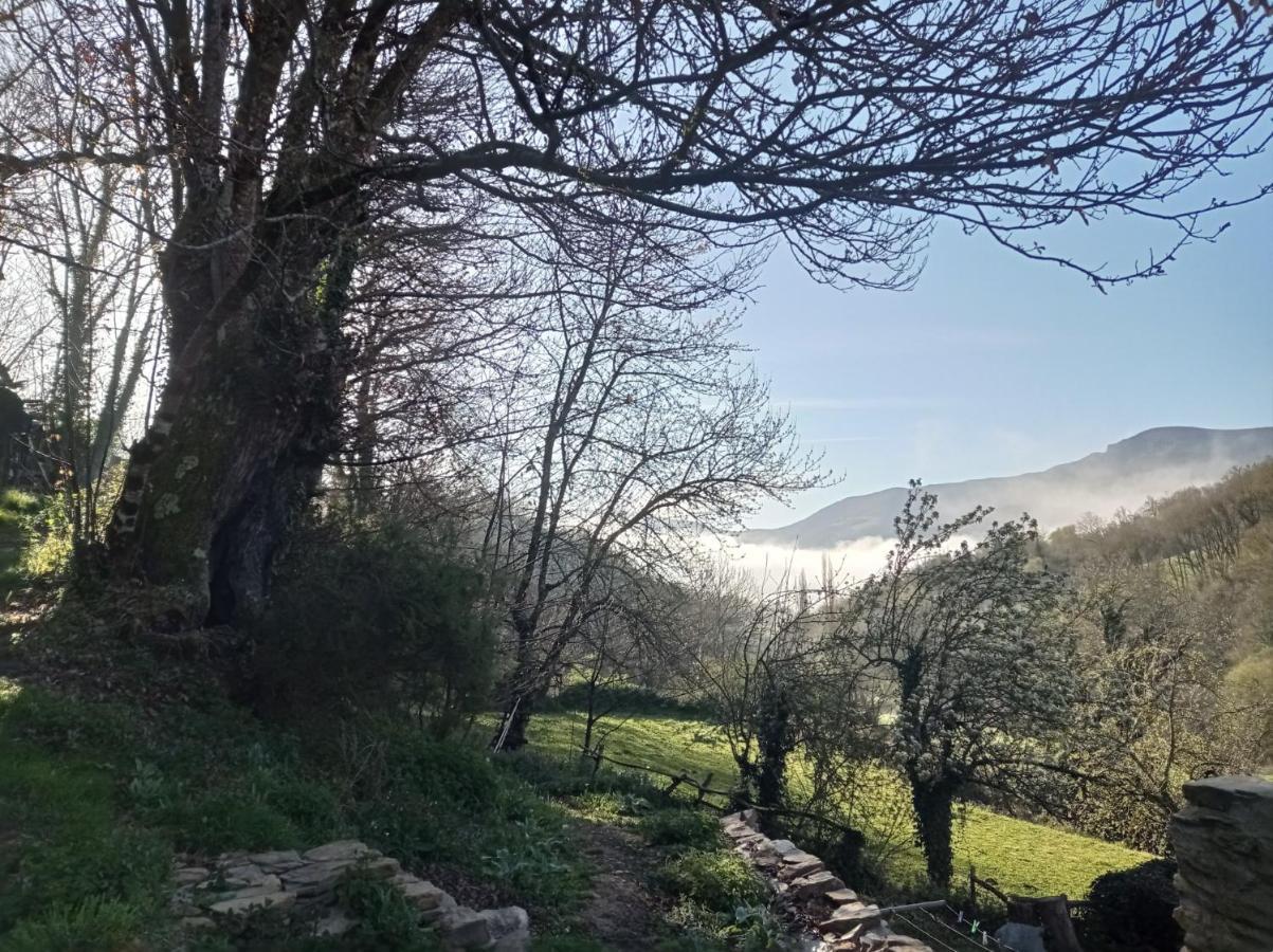 Albergue Eco El Beso - Vegano Tríacastela Exterior foto