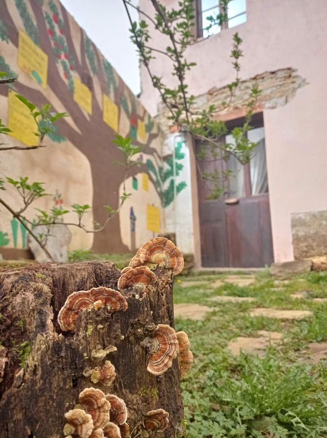 Albergue Eco El Beso - Vegano Tríacastela Exterior foto
